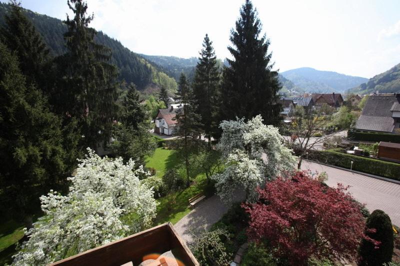 Hotel Garni Cafe Schacher Oberwolfach المظهر الخارجي الصورة
