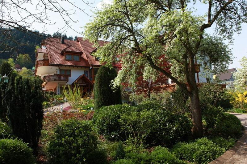 Hotel Garni Cafe Schacher Oberwolfach المظهر الخارجي الصورة